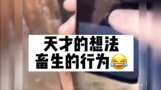 大爷：好好好，你崽子这么玩是吧，最好别睡太死