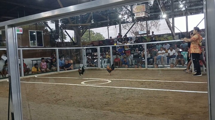 lose mclean hatch biboy line