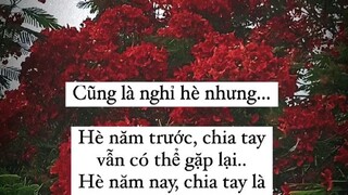 Mn có tổng kết chx