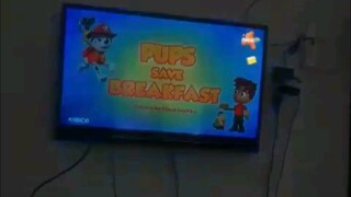 Paw patrol Musim 6 Episode 10 Bahasa indonesia Nickedeon Junior Tv | K-Vision