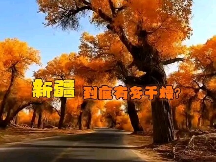 How dry is Xinjiang, exactly? Xinjiang