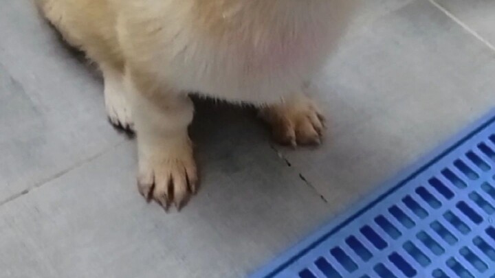 mọi người đừng chửi.                                             youtube: bánh mì trứng