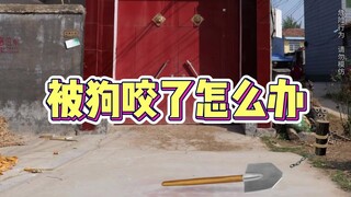 被狗咬了怎么办