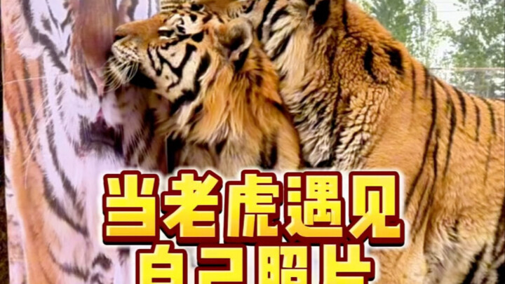 ปฏิกิริยาไม่เป็นอย่างที่ฉันคิดเลย!