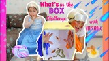 What's In The Box Challenge (Non Stop Laugh with Mamu)