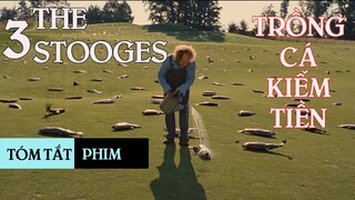 Khi ba chàng ngốc buộc phải đi kiếm tiền | Tóm Tắt Phim | The Three Stooges