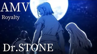 【AMV】Dr.STONE×Royalty