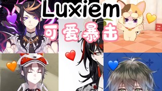 [Peringatan super imut] Kritik lucu dari Luxiem