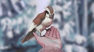 欢迎来到精灵宝可梦的世界！30张画有一张能打动你吗？好想知道你想象中的宝可梦的世界是什么样的啊！