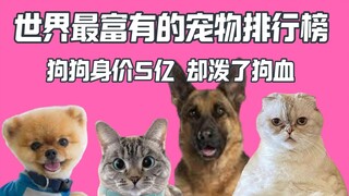 世界最富有的宠物排行：前两名很水 霉霉爱猫第三名