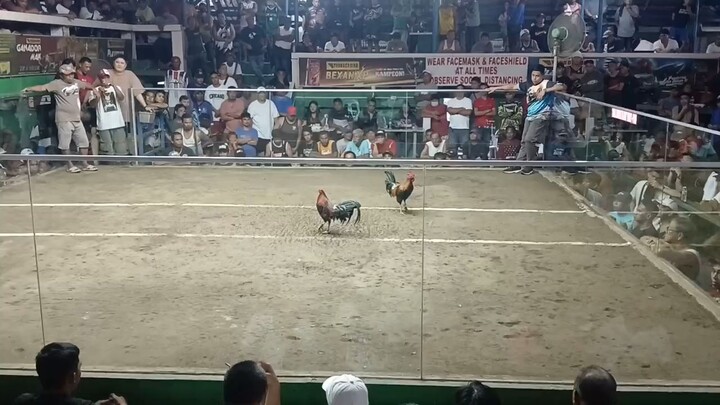 My Goldenboy SC side!!!