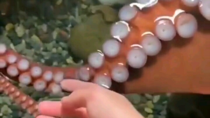 那里不可以哦～