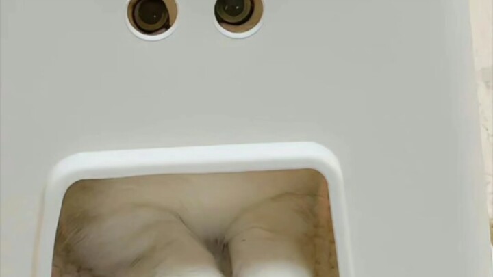 ·﹃·