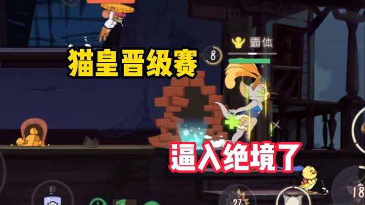 เกมมือถือแมวกับหนู: ศึกคัดเลือกของจักรพรรดิแมวบีบให้เข้าสู่ทางตัน!