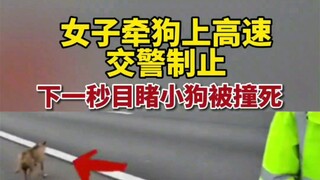 5月21日，据遵义交警，贵州遵义一女子牵狗上高速交警制止，下一秒目睹小狗被货车撞死…