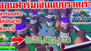 สอนฟาร์มเงินเบรีแบบรวดเร็ว ฟาร์มแปปๆได้เป็นล้าน Roblox Blox Fruits