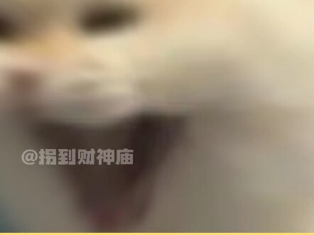 Đây mới là đi làm chứ!!