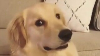 คู่เดทเป็นของโปรด VS ไม่ใช่ของโปรด