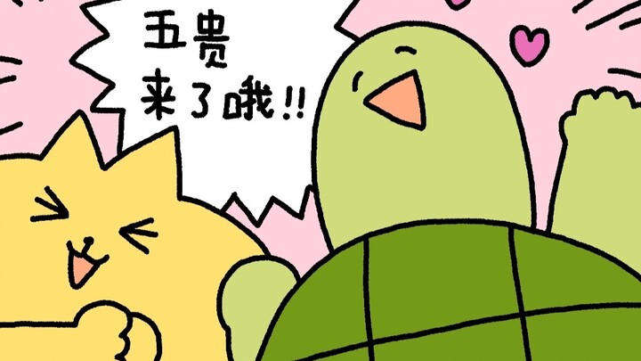 【西西】五贵来了，春天也来啦！