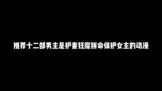 推荐十二部男主是护妻狂魔拼命保护女主的动漫，为了你我甘愿承担起一切独自去面对那些流言蜚语绝不让你受伤