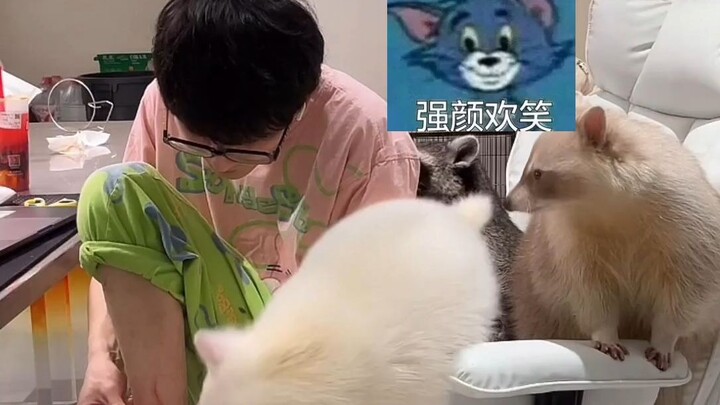 Today, I got accidentally scratched by Yuanbao.