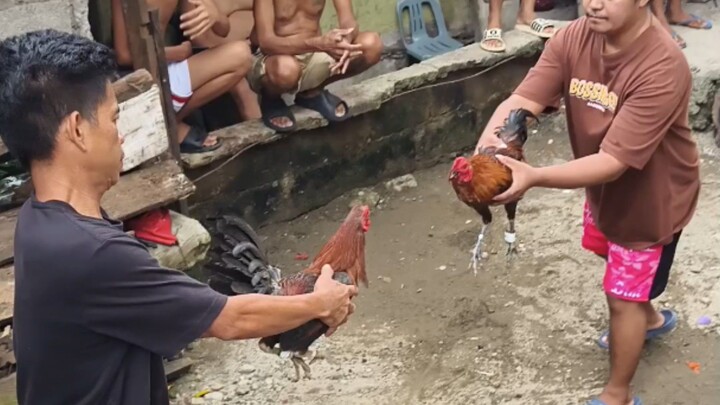 Panalo na sana..