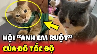 Bắt gặp hội "ANH EM RUỘT" của Đô Tốc Độ trên Tóp Tóp 😂 | Yêu Lu