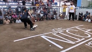 Win Binabae Unscrstch