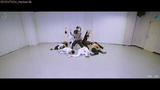 [SVT_Harbourคำบรรยายภาษาจีน] 200402 SEVENTEEN Dance (Fallin' Flower) ห้องฝึกซ้อมคำบรรยายภาษาจีน