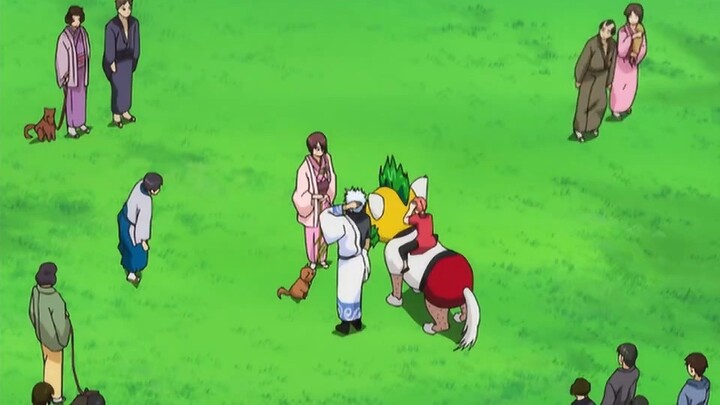 Gintama: Chỉ cần nói người khác cư xử không đúng mực, giây tiếp theo sẽ đến lượt Gintoki, cách bắt c
