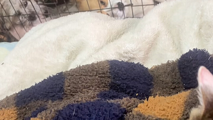 ไม่ตามอันนี้ก็ตามอันนั้น