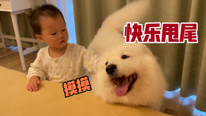 “I really, really like you!”