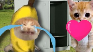 Banana Cat's love was stolen by Doll!