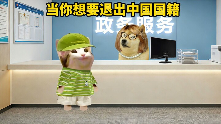 Rút quốc tịch dễ như trở bàn tay, nhập quốc tịch lại khó như lên trời.