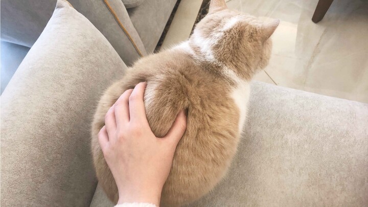 Một ổ bánh mì nhỏ với cảm giác sờ cực kỳ thích