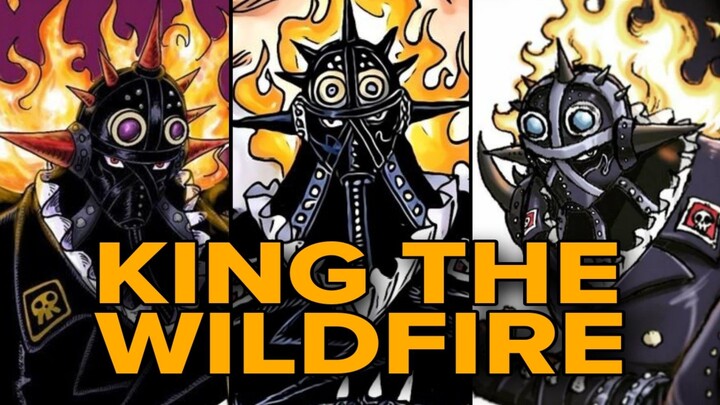 Harusnya King kembali karena Joyboy sudah muncul (One Piece)