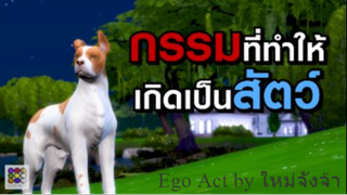 กรรมที่ทำให้เกิดเป็นสัตว์เดรัจฉาน | เหตุต้นผลกรรม | อีโก้แอค