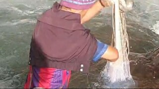 cast-net fishing in Nepal | himalayan trout fishing | asala fishing |