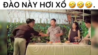 đào này hơi xồ #haihuoc