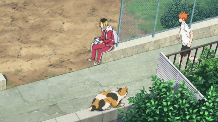 🔥🔥MOVIE HAIKYU🔥🔥KARASSUNO VS NEKOMA