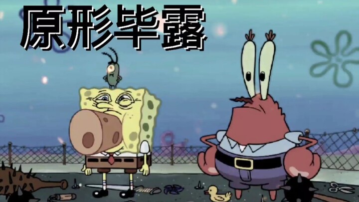 Tidak pernah mengecewakan <SpongeBob SquarePants 39>