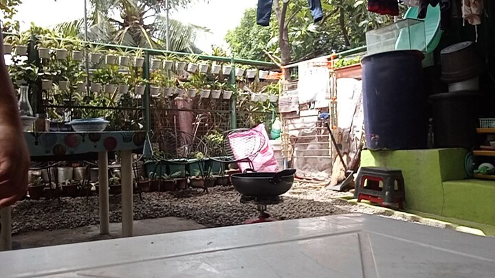 cooking banana que