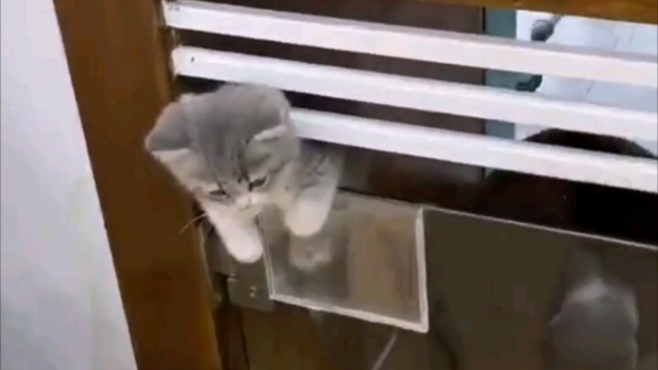 แหกคุกแล้วถูกจับ ยังทำหน้าไม่ยอมอีก