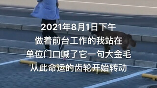 Chiều ngày 1 tháng 8 năm 2021, tôi đang đứng ở cửa văn phòng, làm việc tại quầy lễ tân và gọi to "Ch