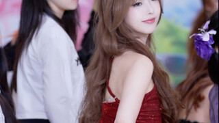 犯规小熊美佳短裙随机舞蹈#短裙 #aoa #韩国女团 #女大学生