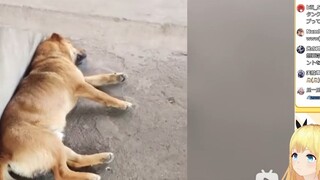 Japanese school girl watching "The Security System is Completely Paralyzed"