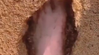 ภาพสบายตาสุดๆ