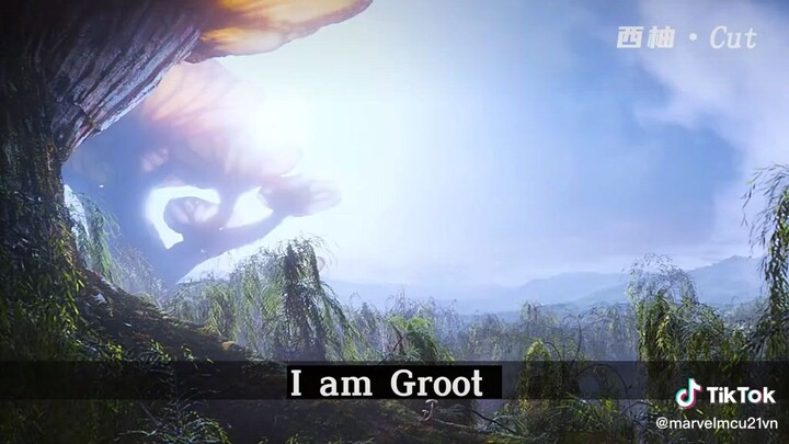 I am groot