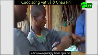 Cuộc sống mưu sinh vất vả ở Châu Phi_phần 6