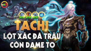 [ Liên quân ] Lý do Tachi từ Quả Bom Xịt thành Hot Pick giải đấu | Q&A Cùng TNG LQM Mùa 19